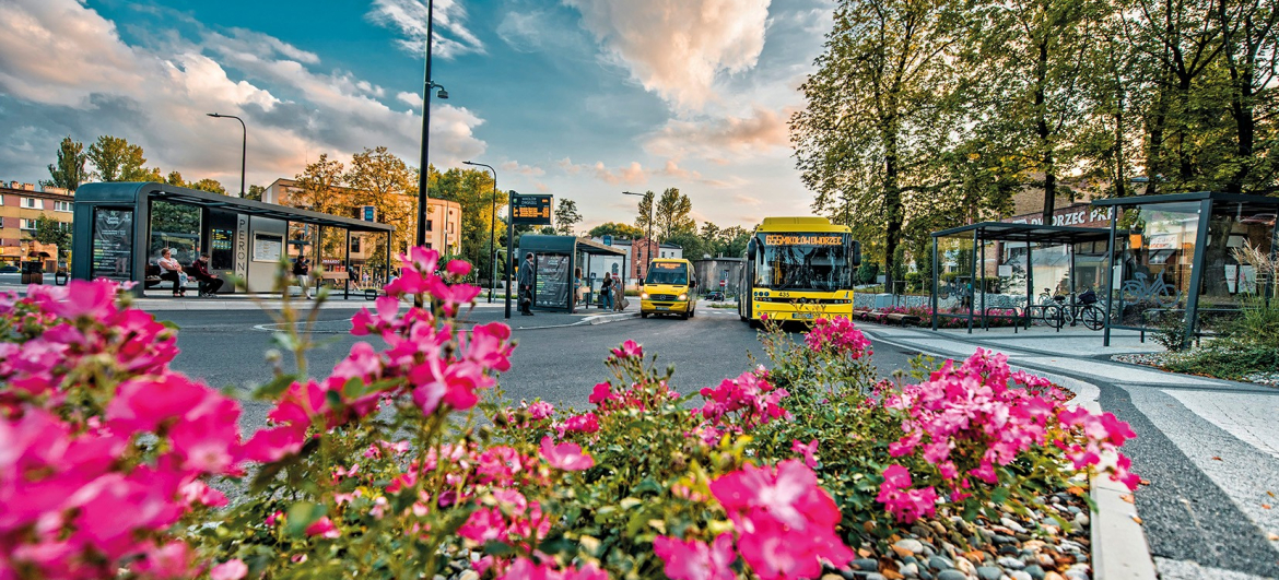 /home/pkm_tychy/pl/userfiles/doc_images/_cth/image-751.jpg