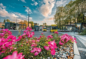 /home/pkm_tychy/pl/userfiles/doc_images/image-751.jpg