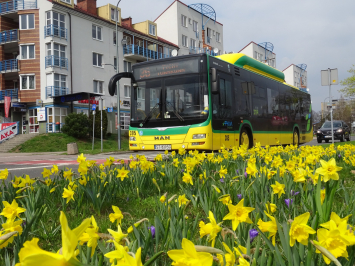 /home/pkm_tychy/pl/userfiles/doc_images/image-766.jpg